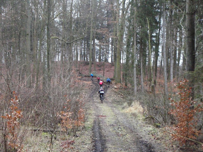 Waldtour 029